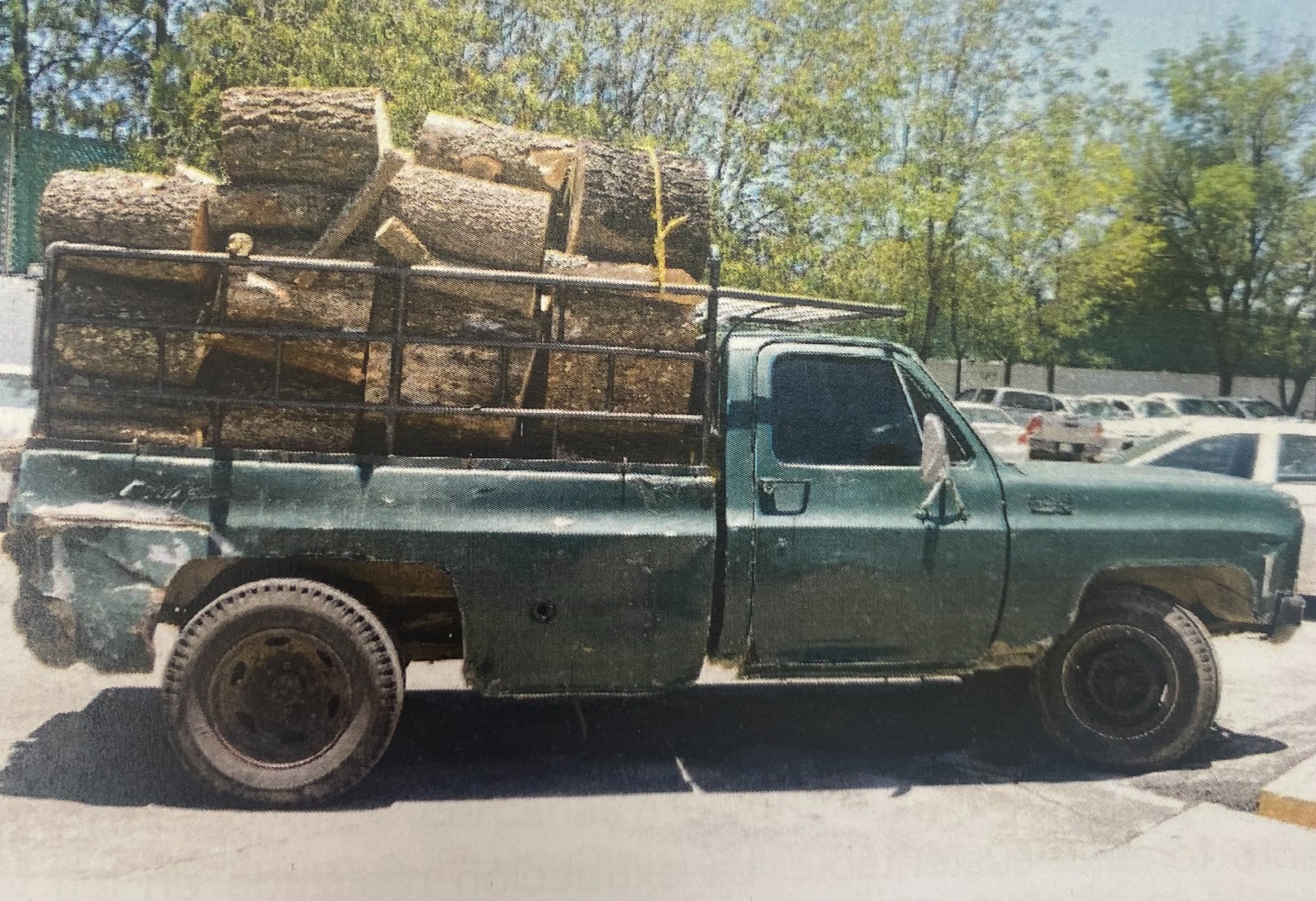 Vinculan a proceso a cuatro personas por delitos ambientales en la Malinche